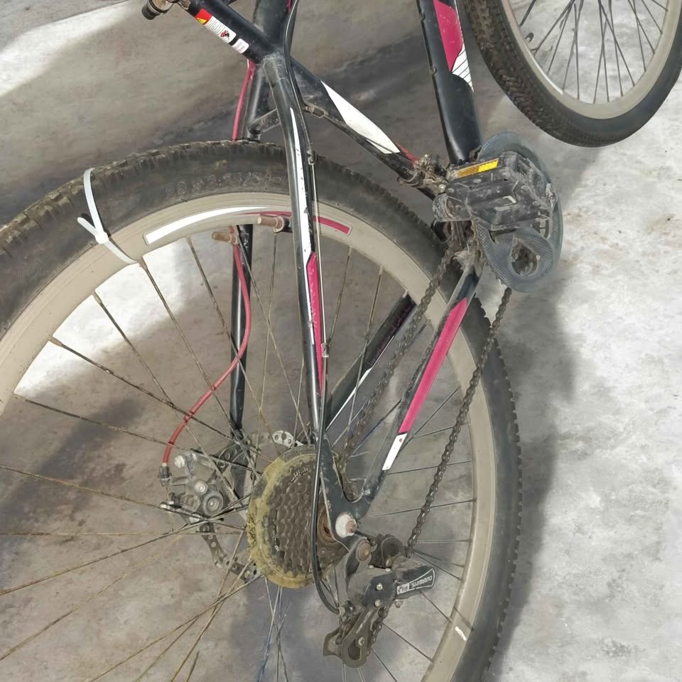 Bicicleta Benotto ignittion rodado 29