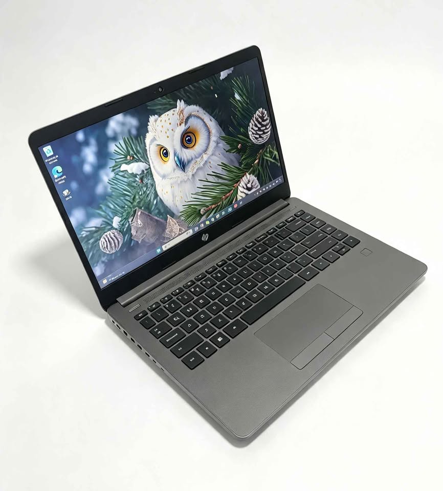 Laptop hp ryzen 5 8 ram 256gb ssd