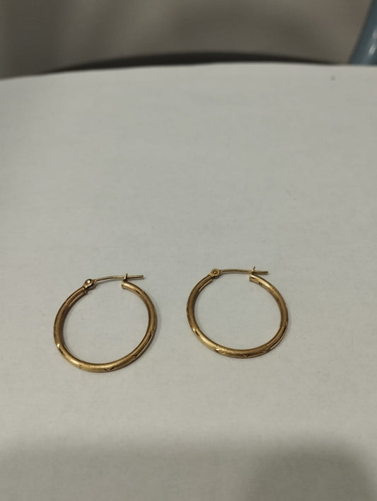 ✨ Par de Aretes de Oro de 10 Kilates ✨