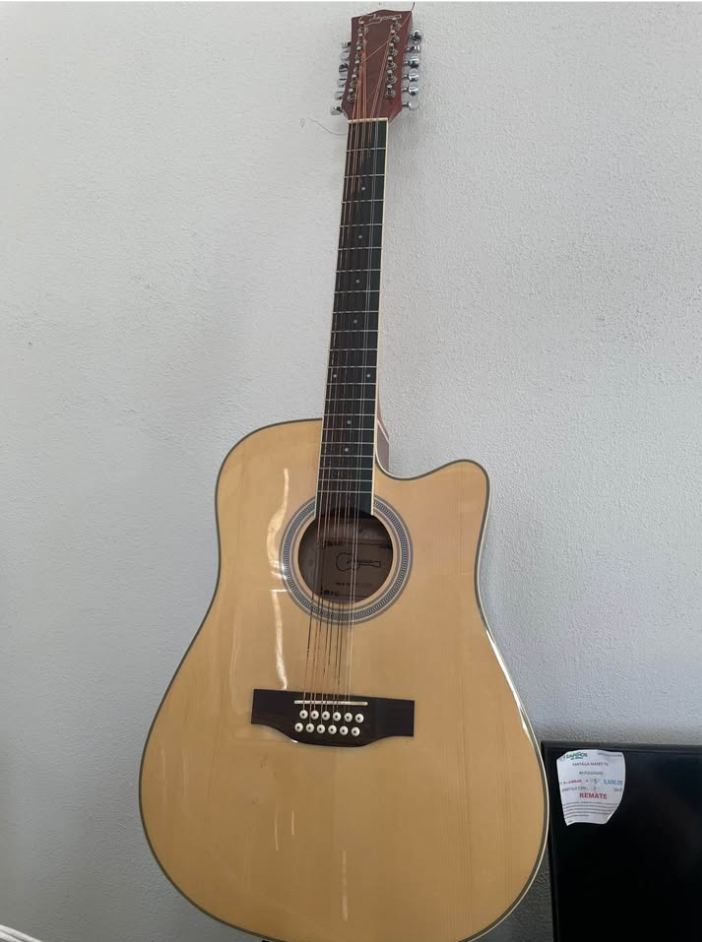 Guitarra Acústica Jidyous- Usada
