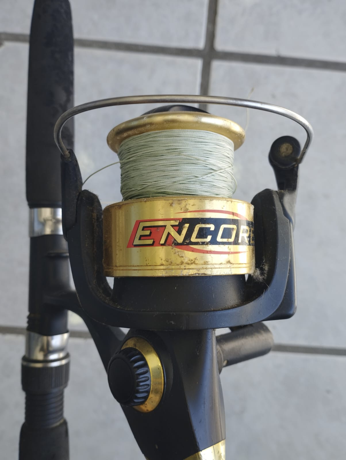 🎣 Caña de Pescar Usada con Carrete Shakespeare 🎣