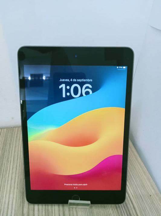 📱 iPad mini 5 (256GB)