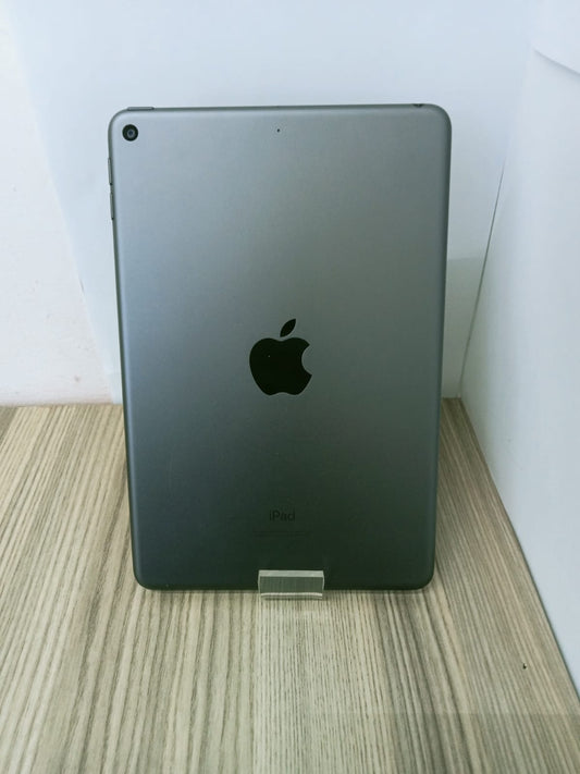 📱 iPad mini 5 (256GB)