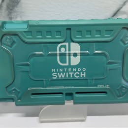 Nintendo Switch Lite – Usada