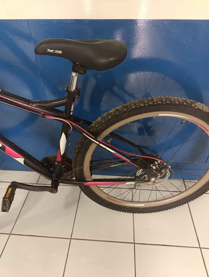 Bicicleta Benotto R29