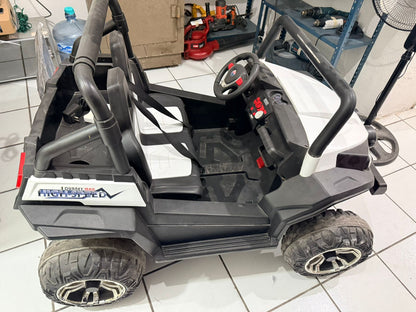 CARRITO ELECTRICO CON CONTROL-USADO