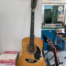 Guitarra Burswood 6 Cuerdas-Usado