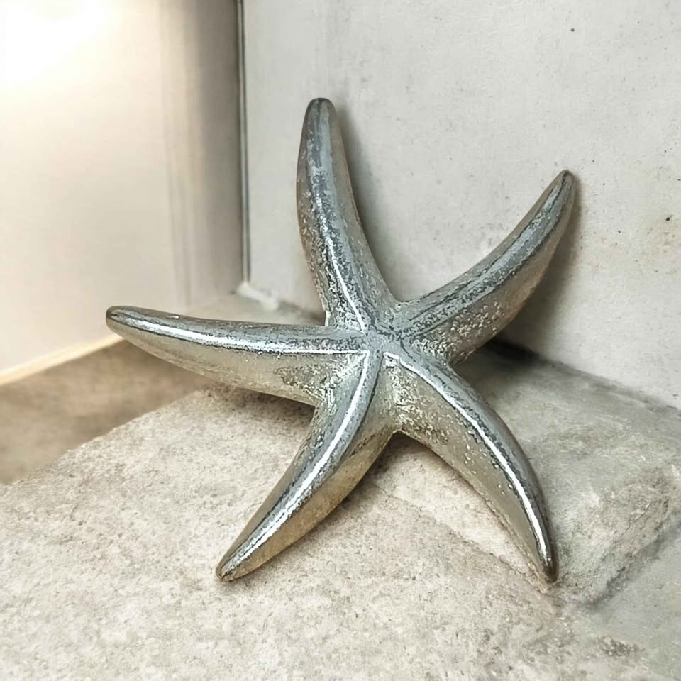 Plata Dije estrella ⭐.925 4.5g