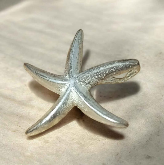 Plata Dije estrella ⭐.925 4.5g