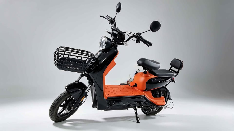 Bicicleta eléctrica kiwo cargador y juego de llaves