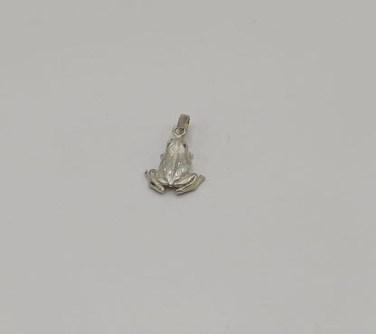 Dije de rana PLATA 925 peso 3.1gr, usado