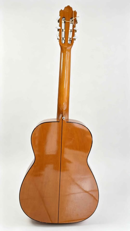 GUITARRA ACUSTICA GILB PARACHO