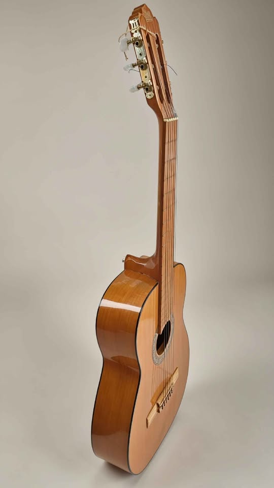 GUITARRA ACUSTICA GILB PARACHO