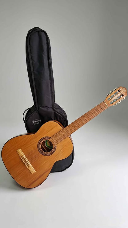 GUITARRA ACUSTICA GILB PARACHO