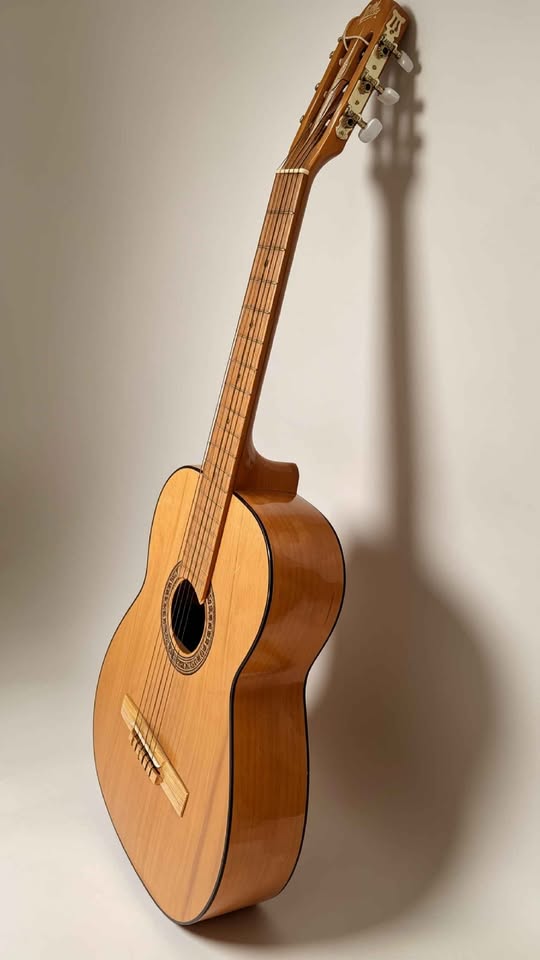 GUITARRA ACUSTICA GILB PARACHO