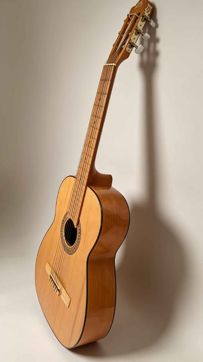 GUITARRA ACUSTICA GILB PARACHO