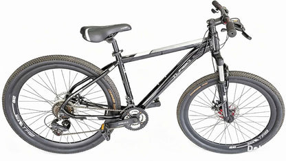 BICICLETA TURBO