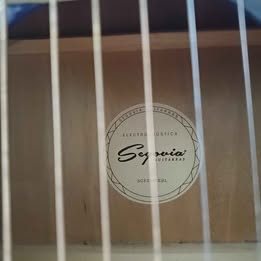🔥🎸 Guitarra Electroacústica Segovia de 6 Cuerdas 🎸🔥