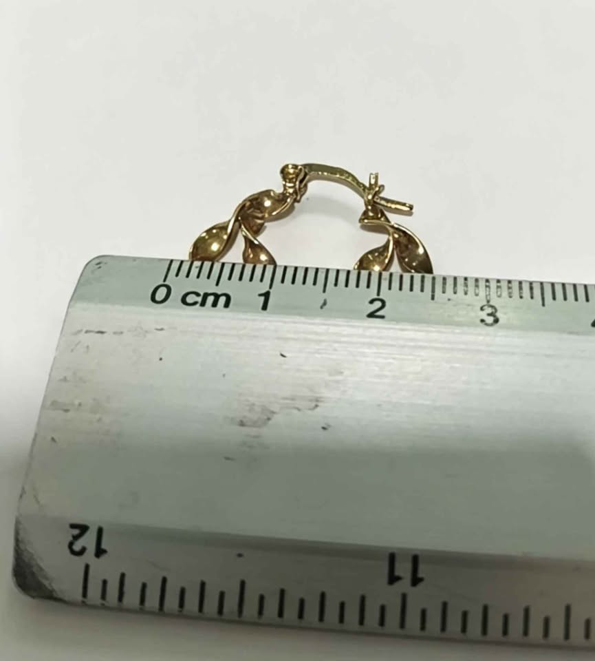 Oro par arracadas 10k 3.1g