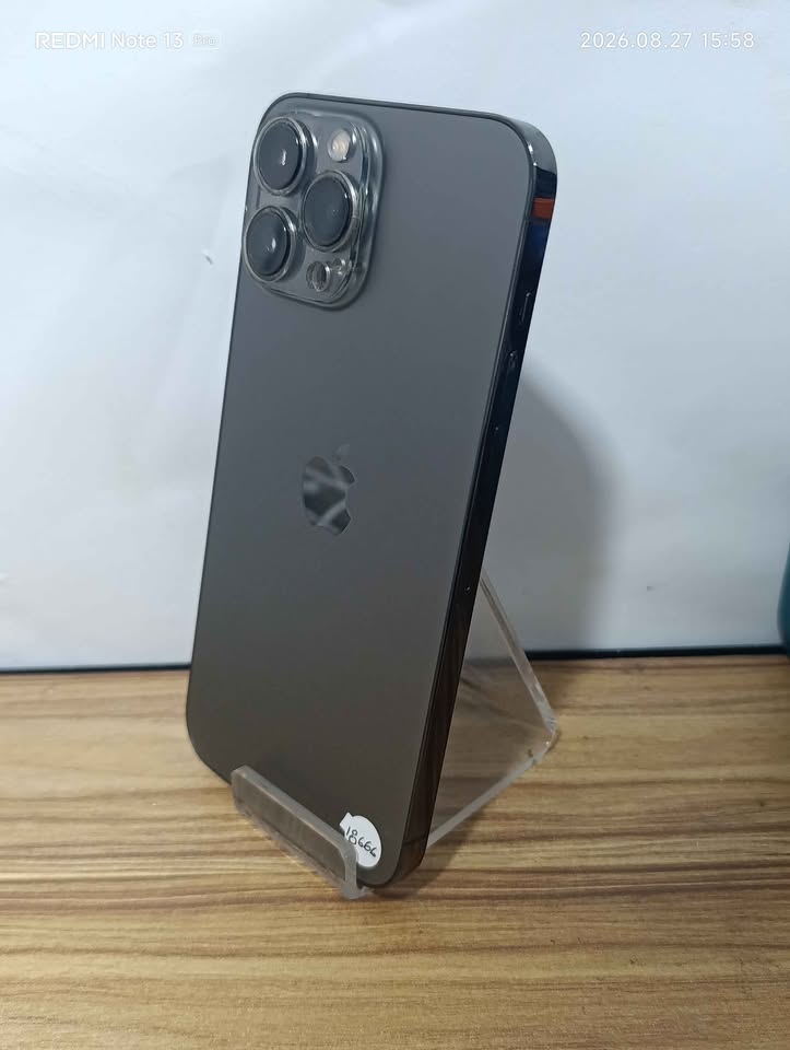 iPhone 13 Pro Max 256 GB 86% Batería Libre Usado