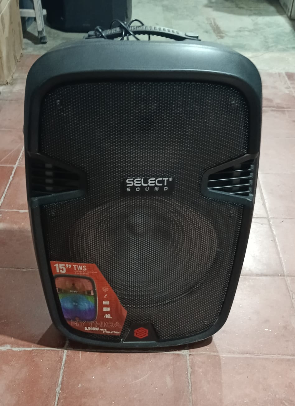 Bocina SELECT SOUND, usado