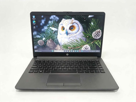 Laptop hp ryzen 5 8 ram 256gb ssd