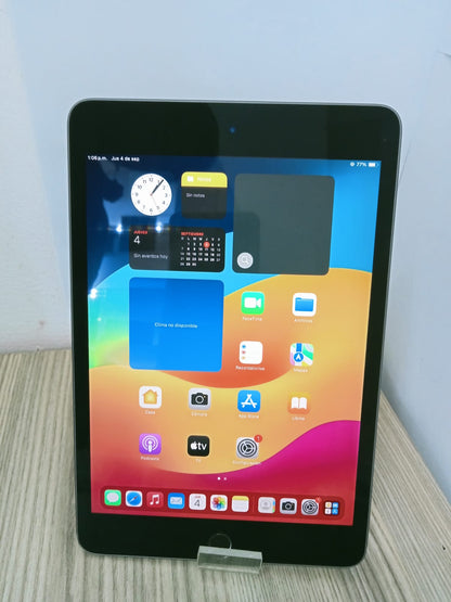 📱 iPad mini 5 (256GB)