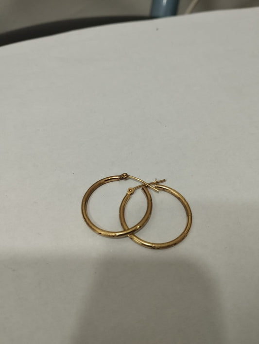 ✨ Par de Aretes de Oro de 10 Kilates ✨
