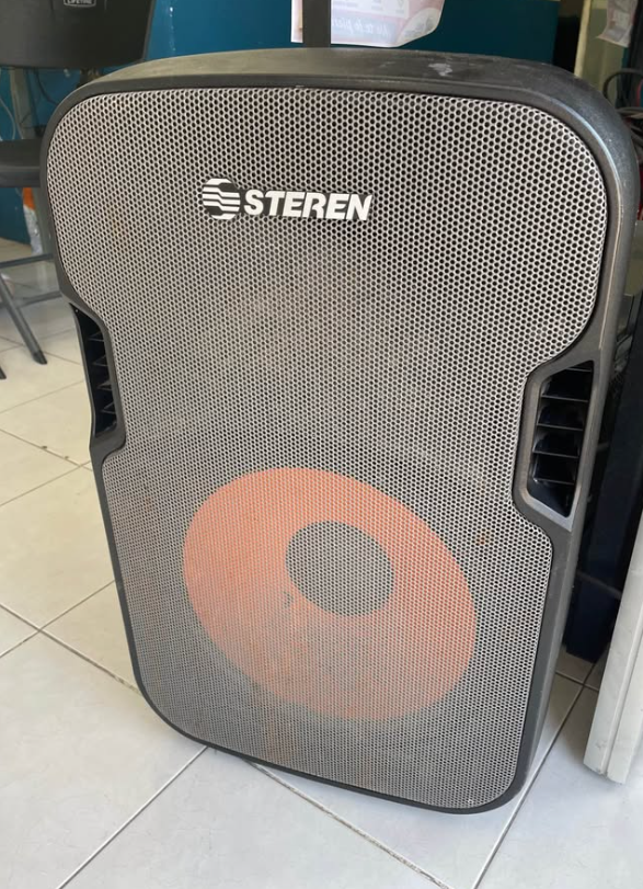 Bocina Steren Amplificada BAF-1555