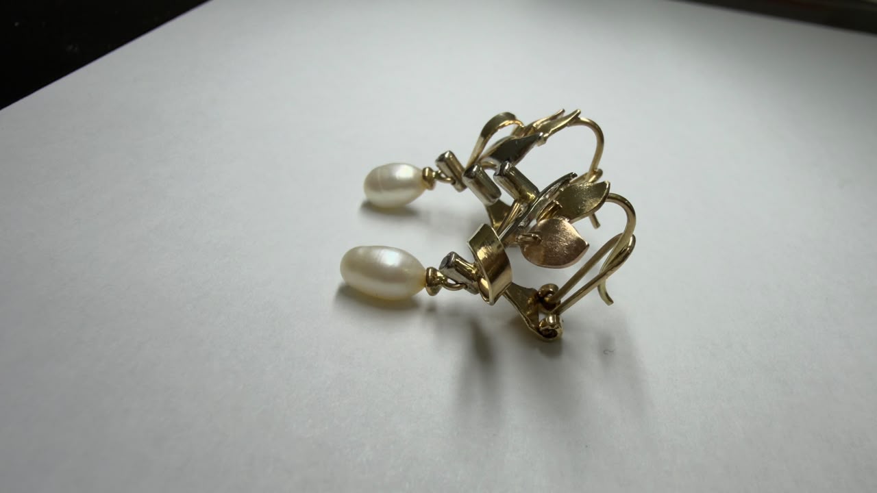 ✨ Aretes de Oro 10K | 4.7 g – Elegancia y Calidad Garantizada ✨