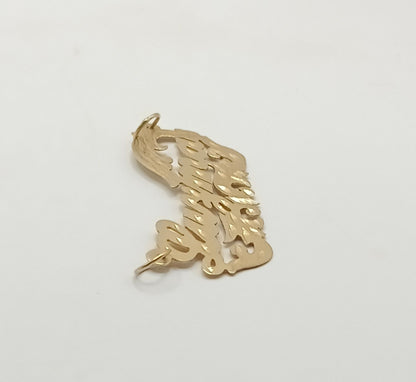 Dije ORO 10K peso 3.2gr