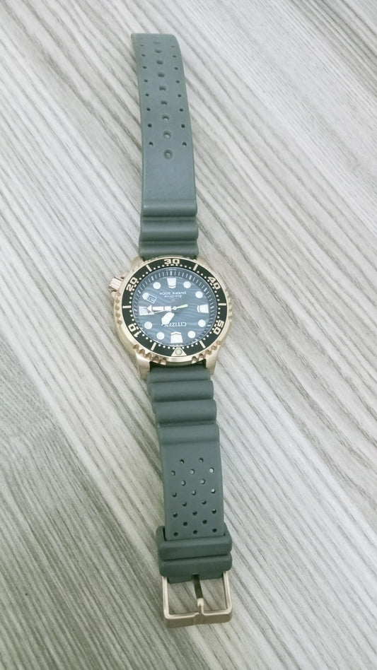 ⌚ Reloj Citizen  – Usado